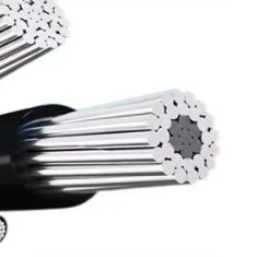 Cables bbiri zisobola okukozesebwa mu parallel nga bwezigala?
